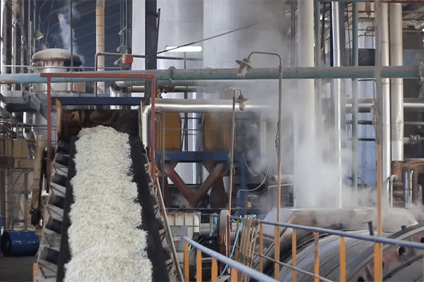 Sugar Industry
